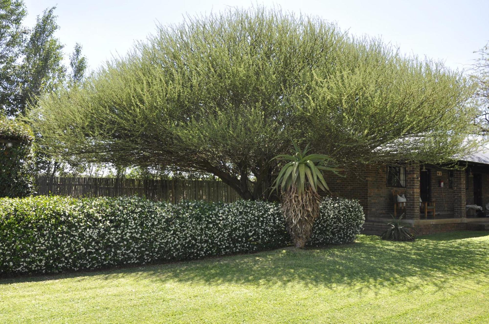 Grincourt B&B- With No Load Shedding Polokwane Eksteriør bilde